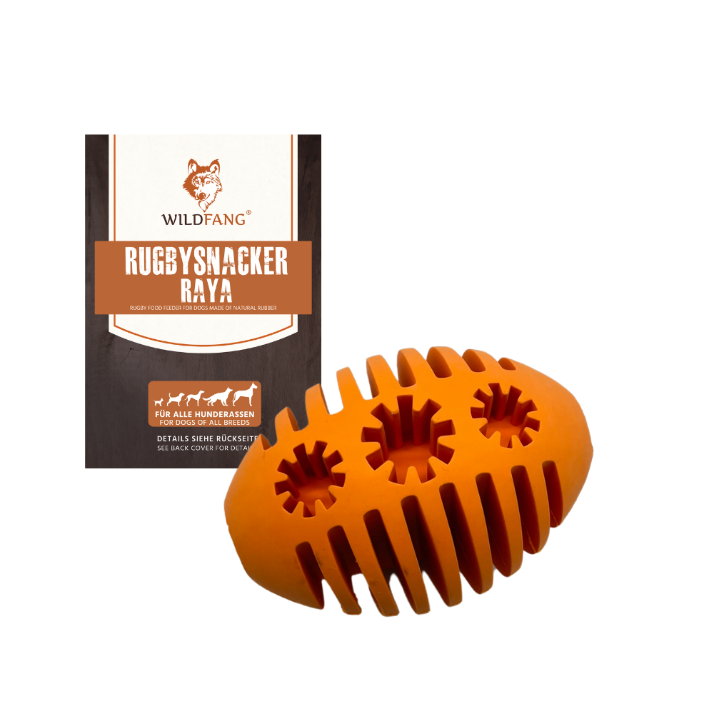 Raya Natural Rubber Dog Toy – Treat Dispensing Rugby Toy
