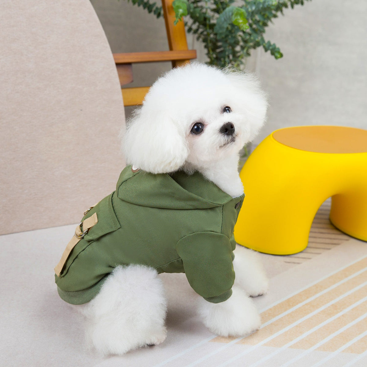 Adventure-Ready Dog Hoodie with Backpack-Style Pockets