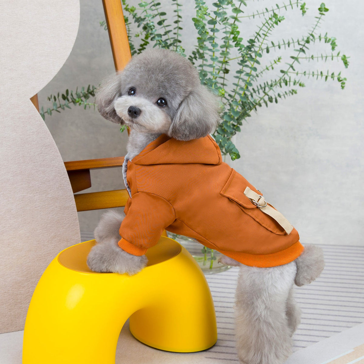 Adventure-Ready Dog Hoodie with Backpack-Style Pockets