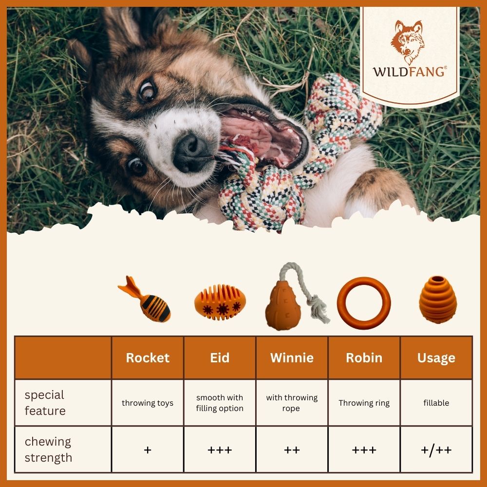 Robin Natural Rubber Dog Ring – Durable Chew & Play Toy