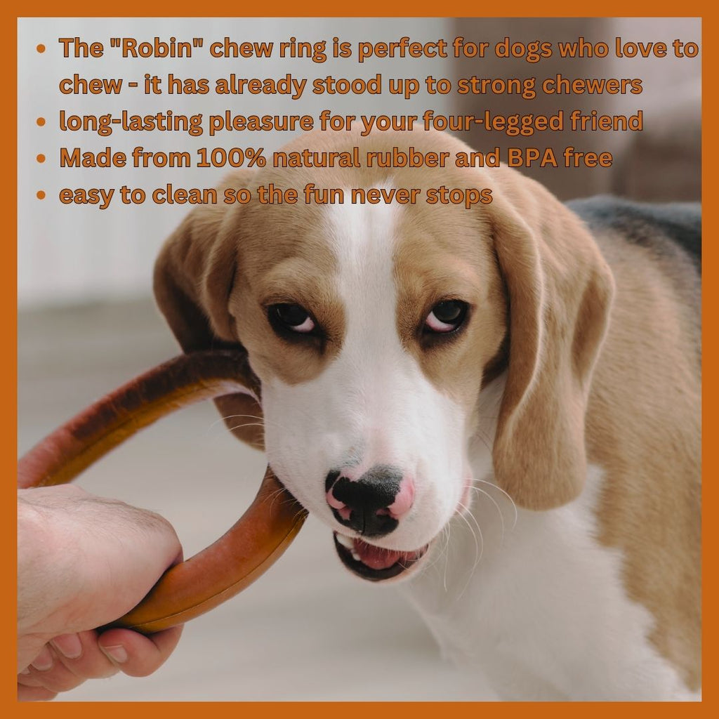 Robin Natural Rubber Dog Ring – Durable Chew & Play Toy