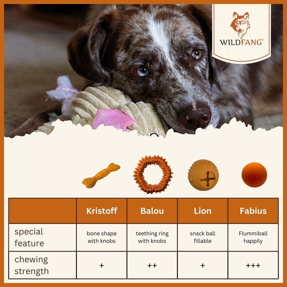 Lilo Natural Rubber Dog Toy – Treat Dispensing & Enrichment Toy