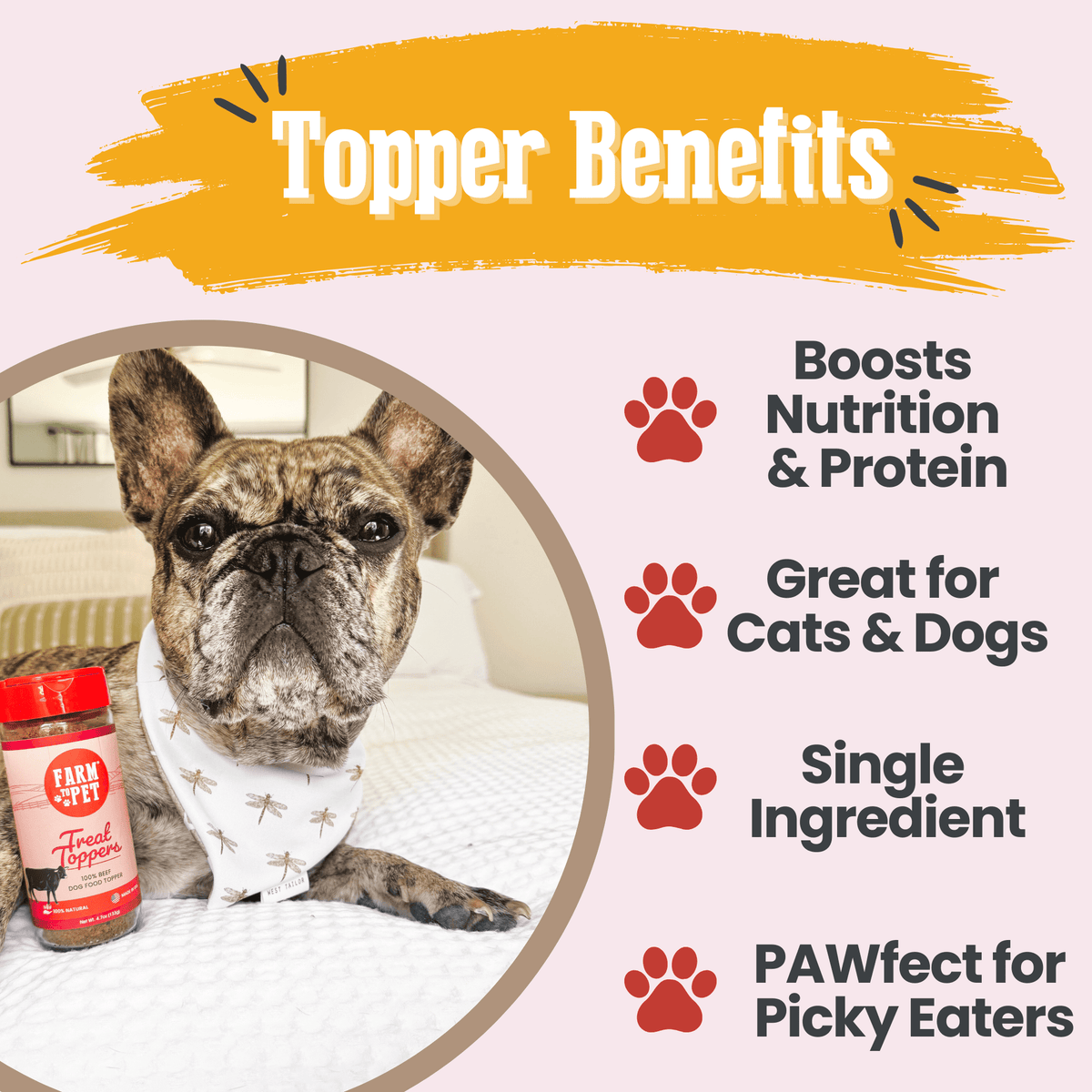 Treat Topper Beef Dog Food Topper | Powdered Meal Topper for Pets